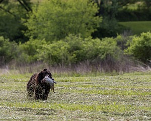 20260516-WCL-0013.jpg