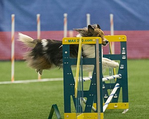 20150321-LEAP-1376.jpg