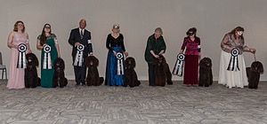 20190514-TEN-0112.jpg