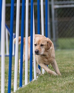 20200819-2112.jpg