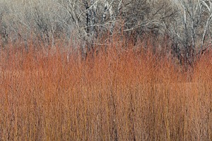 20151206-2726.jpg