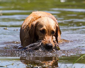 20130714-MHB2-0063.jpg