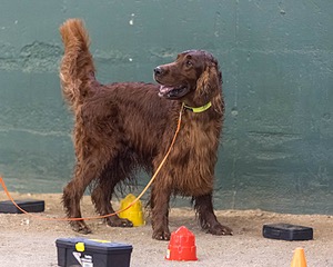 20260718-NSKC-0706.jpg
