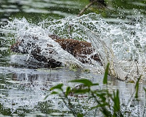 20220604-SHW-0015.jpg