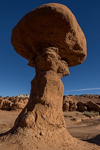 20241021-0111.jpg
