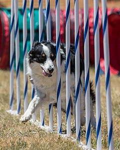 20160618-CCKC-1449.jpg