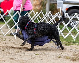 20210912-WWD-0587.jpg