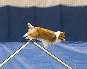 20150321-LEAP-1619.jpg