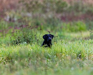 20160924-SHL-0020.jpg