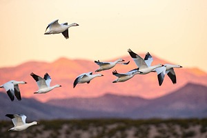 20151206-0929.jpg