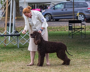 20190928-0691.jpg