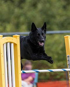 20200819-1297.jpg
