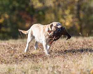 20201011-WCL-0007.jpg