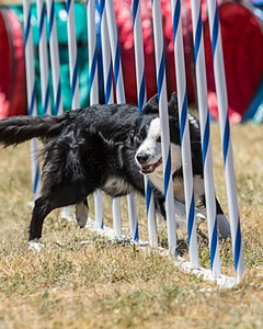 20160618-CCKC-1539.jpg
