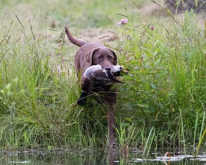 20130713-MHB2-0090.jpg