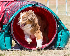 Aila Garre-Day