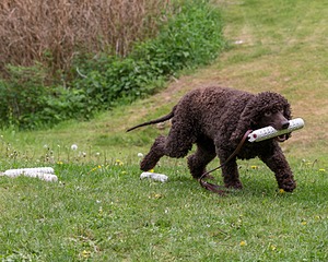20190512-BD-0158.jpg