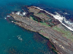 DCIM/101MEDIA/DJI_0043.JPG