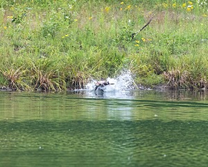 20210725-SHW-0027.jpg