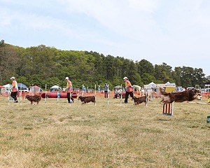 20150612-CCKCMC-0012.jpg