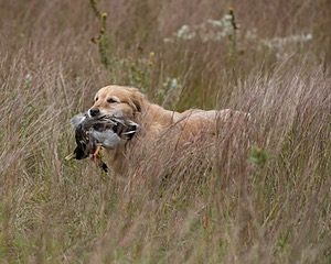 20130921-WCL-0009.jpg