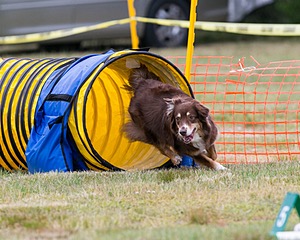 20150612-CCKC-0050.jpg