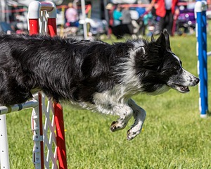 20170520-NEAT-0610.jpg