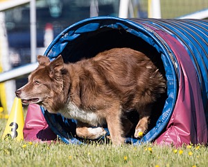 20160514-NEAT-0127.jpg