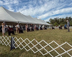 20250927-WC-0177.jpg