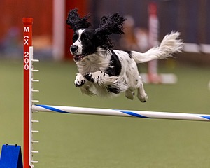 Bugsy Suter