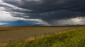 20200619-2606.jpg