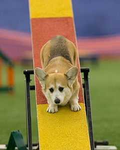 20150321-LEAP-1799.jpg