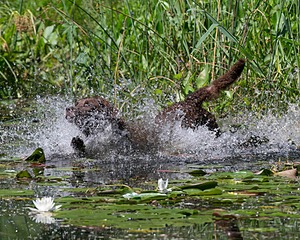 20130810-JHW-0028.jpg
