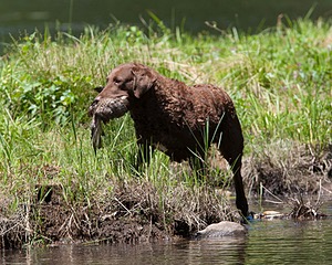 20130602-SEAW-0520.jpg