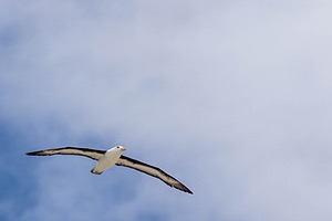 20191209-0384.jpg