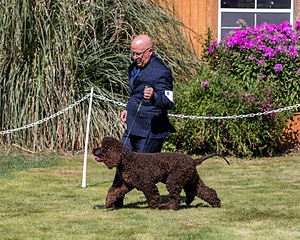 20210828-SW-0006.jpg