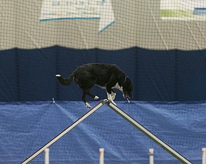 20150321-LEAP-0784.jpg