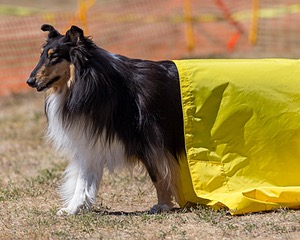 20160619-CCKC-1574.jpg