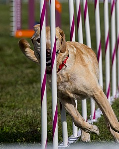 20230916-PVKC-1307.jpg