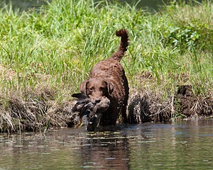 20130602-SEAW-0522.jpg
