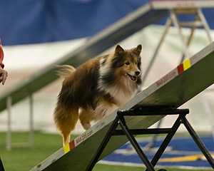 20150321-LEAP-1697.jpg