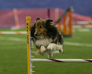20150321-LEAP-1322.jpg