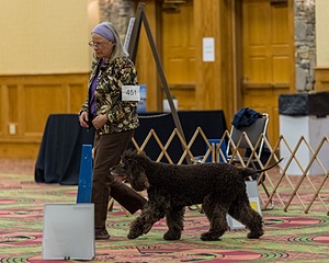 20260513-RA-0010.jpg