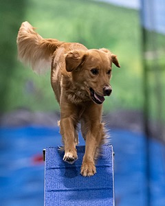 20260221-0855.jpg