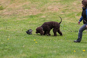 20190512-BD-0123.jpg