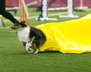 20150322-LEAP-0170.jpg