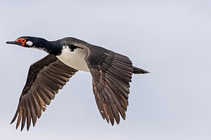 20191214-0310.jpg