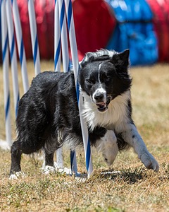 20160618-CCKC-1590.jpg