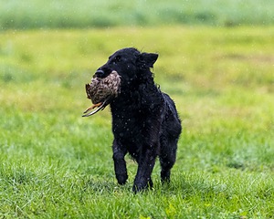 20210725-SHL-1711.jpg