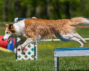 20170520-NEAT-0942.jpg